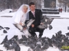 Георгий Бушмакин, фотограф
