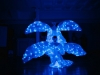 D-Arts | Д-артс |  darts-show, шоу-балет Волгоград +79024739785
