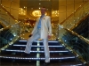 MSC Entertainment