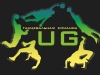 Танцевальная  команда  UG, брейк команда Юджи