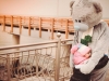 Мишка Тедди, Живой мишка Teddy, ростовая кукла