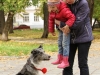 собака Вэйка, Веселый номер с собачкой, оригинальные трюки